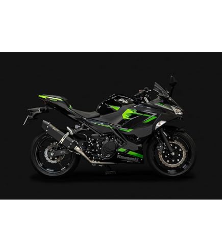 Amazon | ［TRICKSTAR（トリックスター）］Ninja ZX-4R SE/ZX-4RR 政府